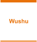 Wushu